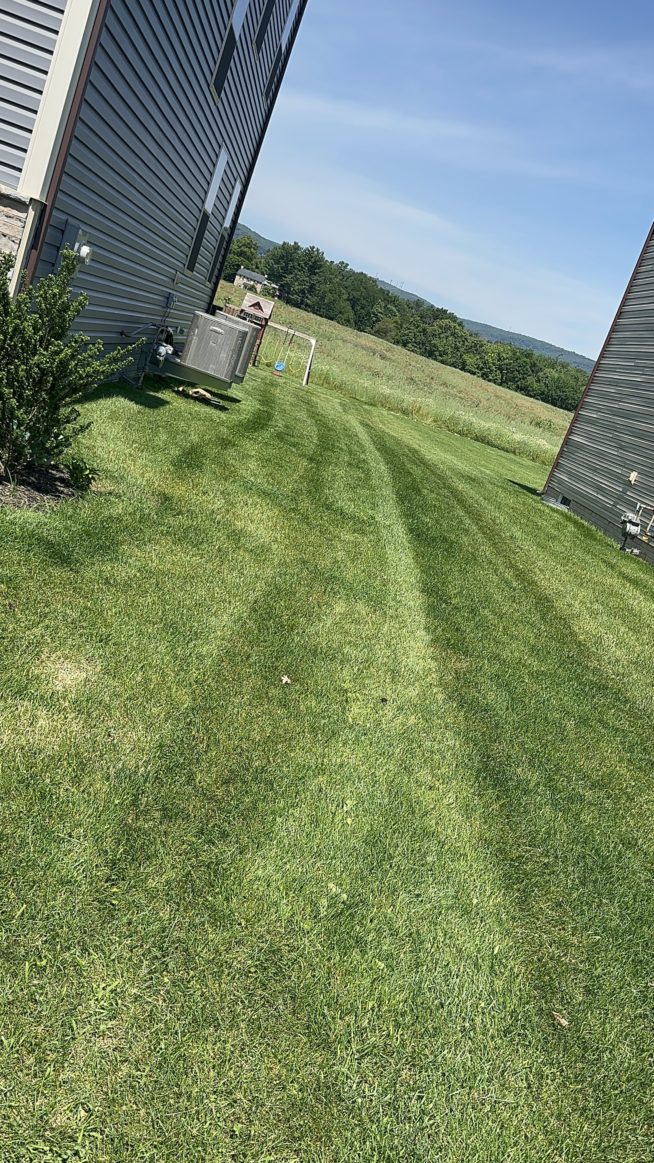 Perfectly striped residential lawn