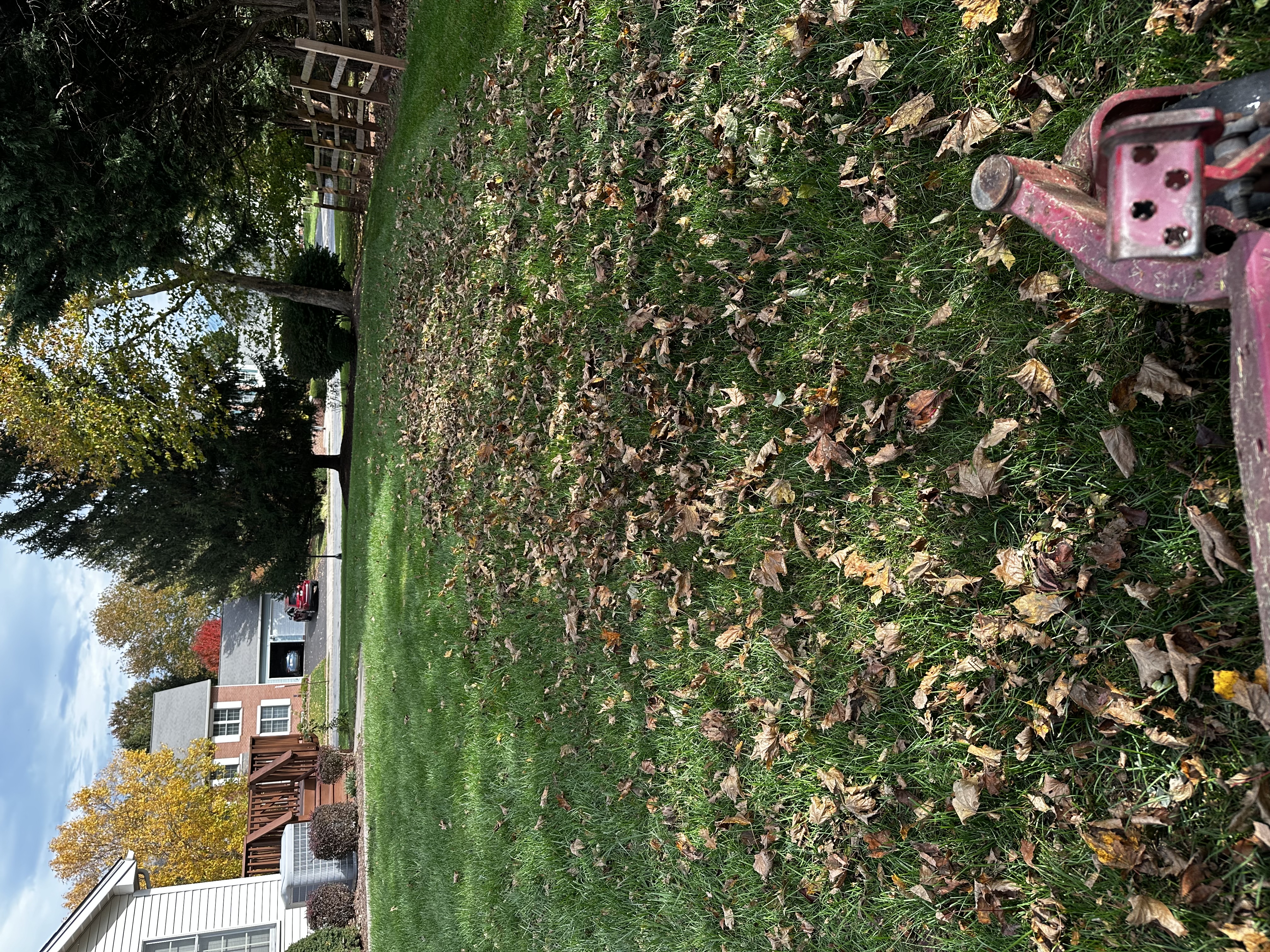 Leaf collection in progress