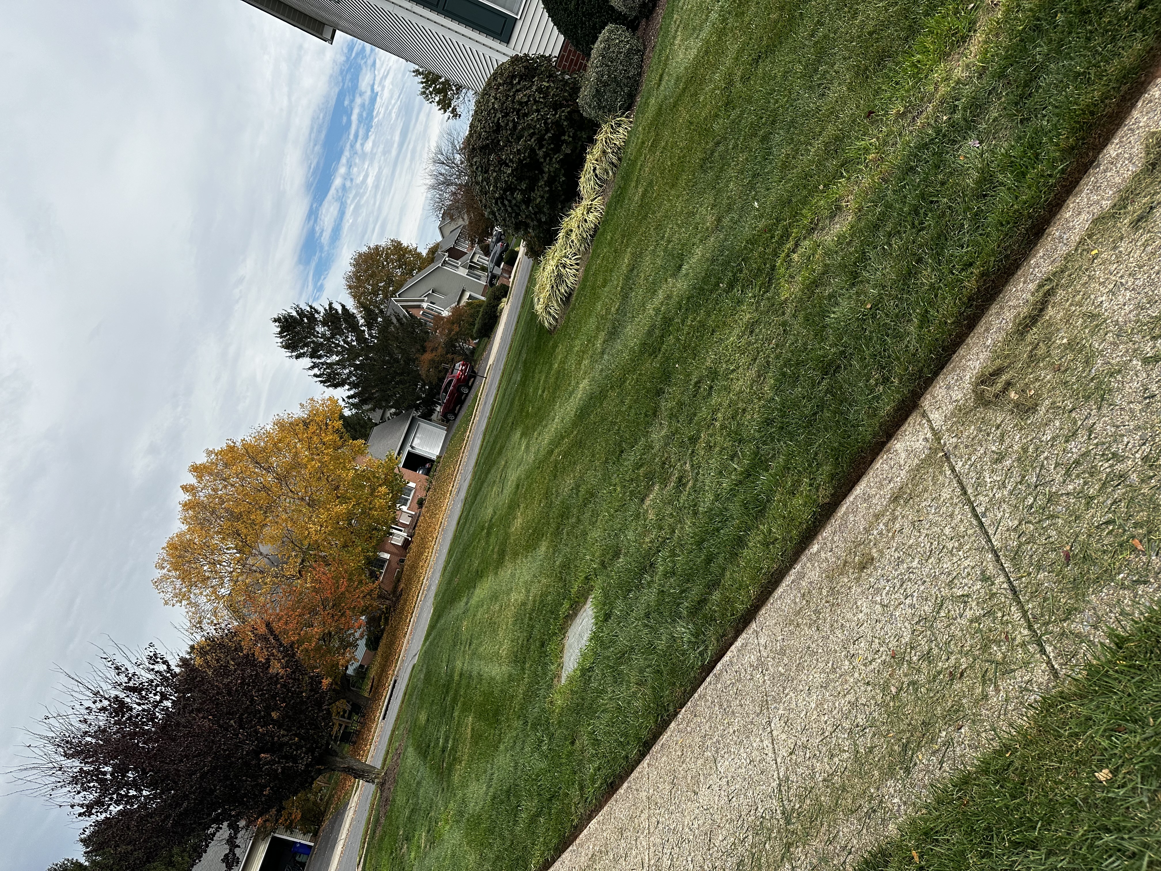 Perfectly straight lawn stripes along a sidewalk