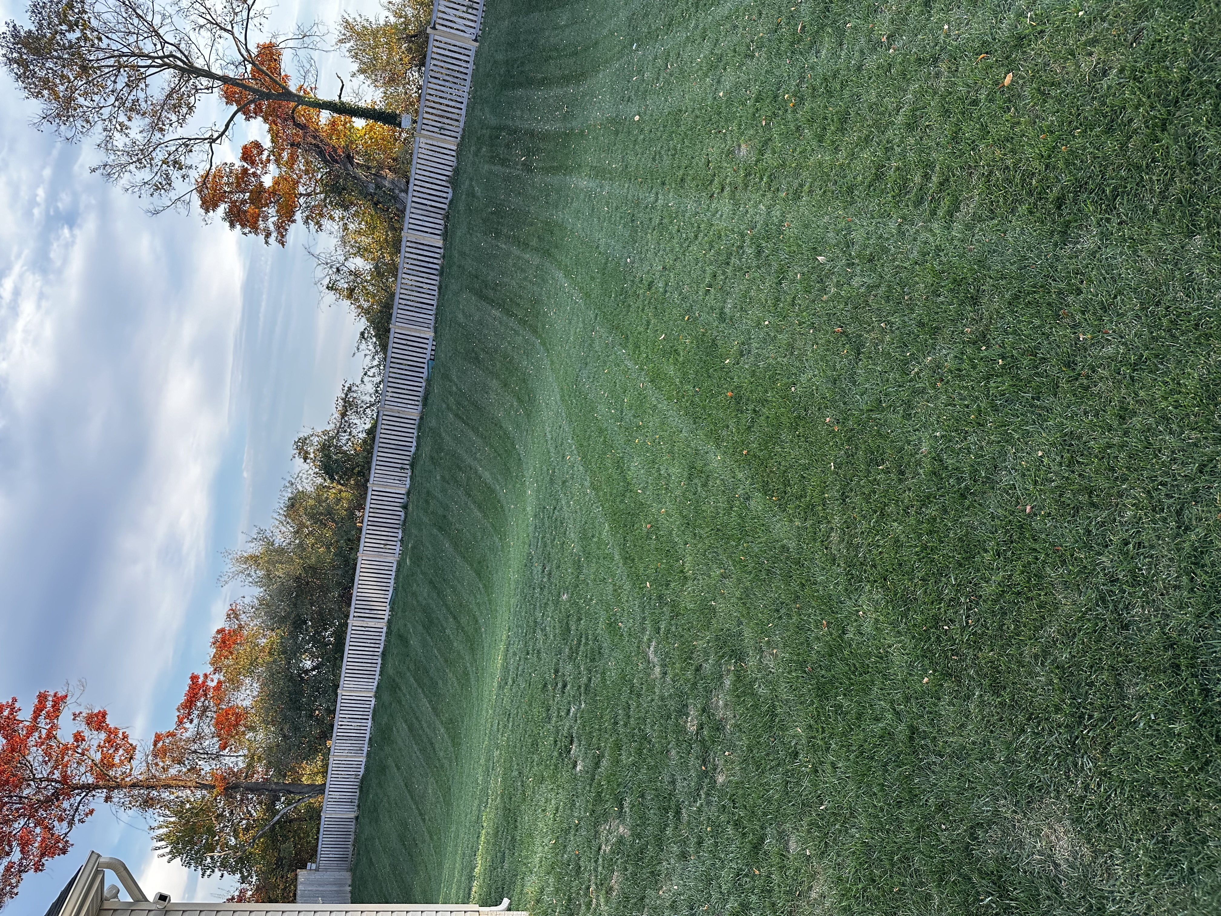 Clean lawn stripes along a wooden fence